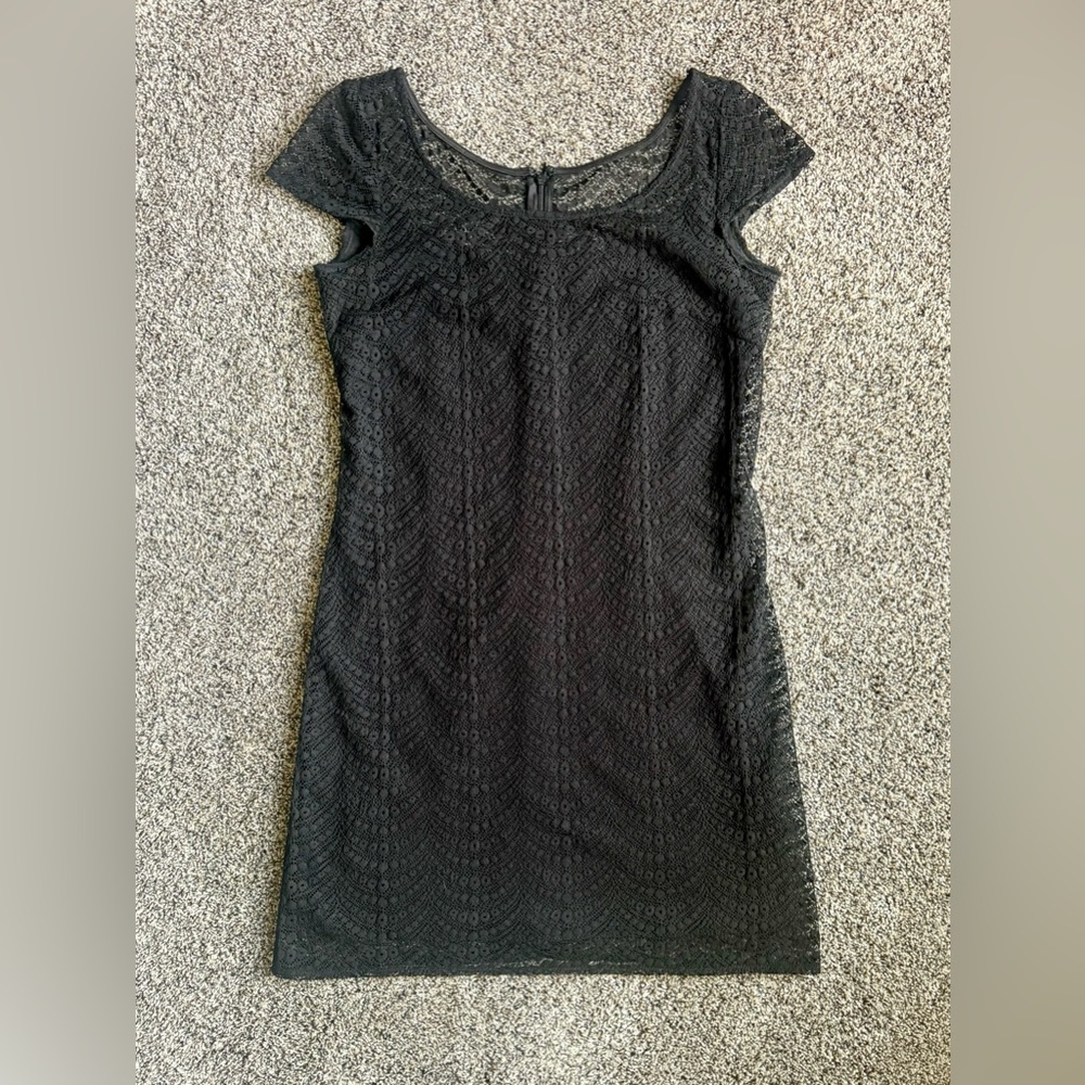 Muse Black Lace Sheath Mini Dress with Flutter Sleeves